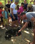 Andy Sabin’s Snapping Turtle Hunt