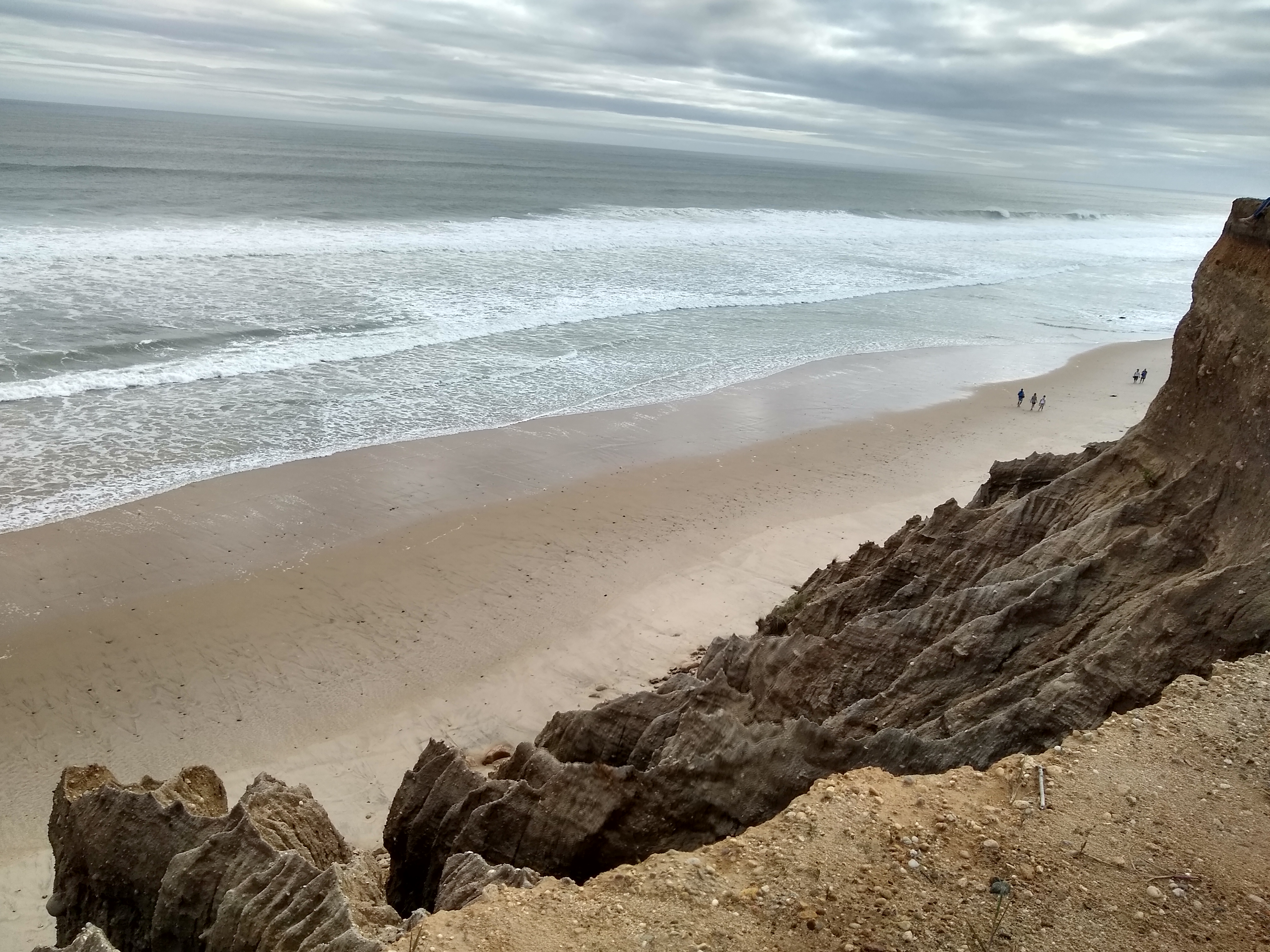 Winter Beach Exploration With Miles SoFo Environmental Educator All