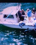 Research Team tagging juvenile white shark aboard Captain Greg Metzger’s vessel.
