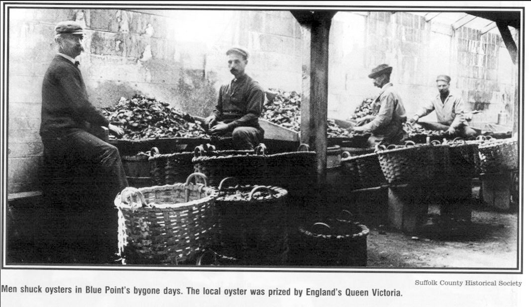 History of the Oyster in New York—East Hampton Shellfish Enhancement
