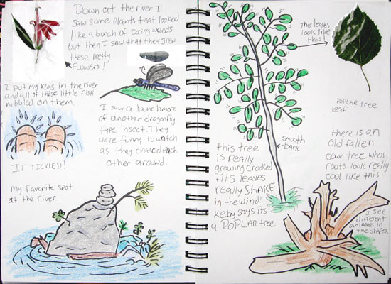 How to Keep a Nature Journal