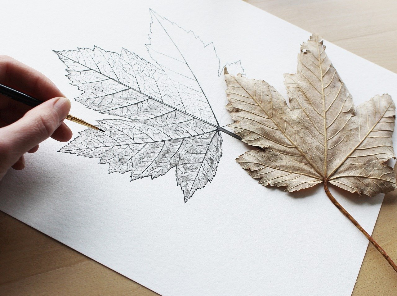 How to Draw Autumn Leaves