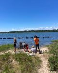 YES! Oyster farming 10