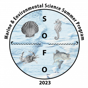 Marine Environmental Science Program - Waves 2023