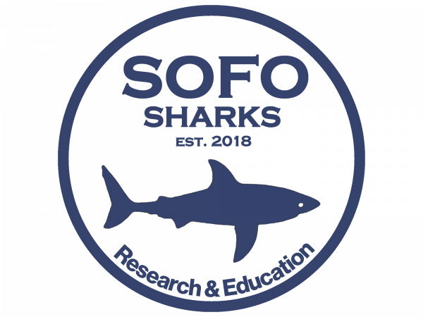 SOFO Shark logo final