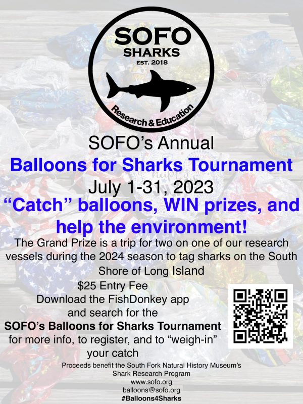 balloonsforsharks