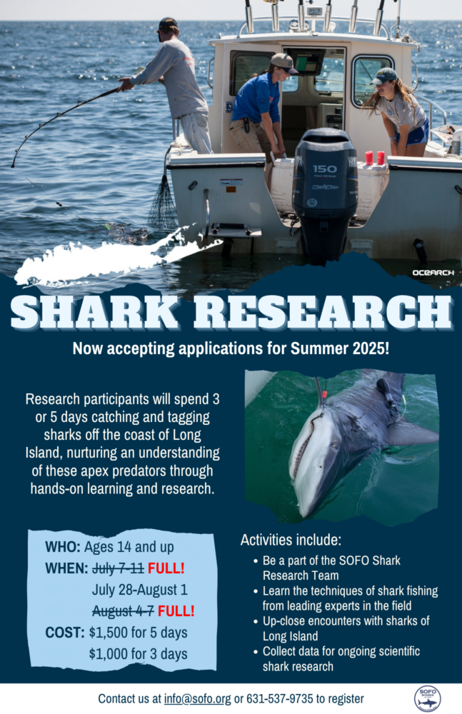 SOFO Shark Assistant no web full (2)
