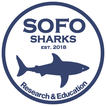 SOFO Shark logo final square