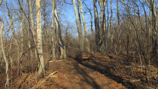 downs-farm-preserve
