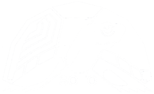 SOFO Turtle Logo TRANS WHITE