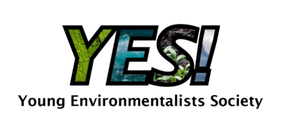 yes logo
