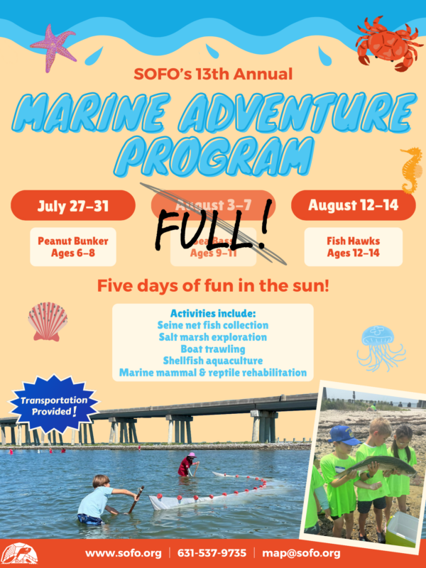 2026 FLYER FINAL with enrollment