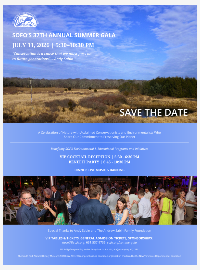 2026 SOFO Save The Date copy 2