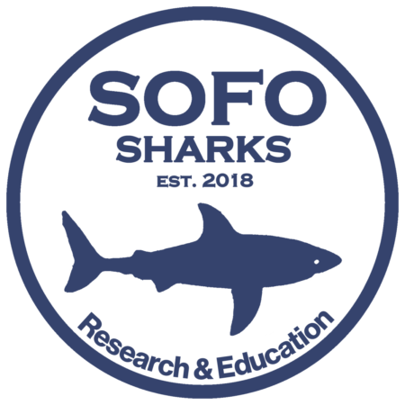 SOFO Shark logo final square
