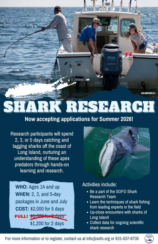 SOFO Sharks Program 2026 no-3-day