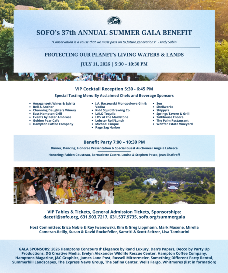 SOFO Hamptons Magazine Ad copy resize