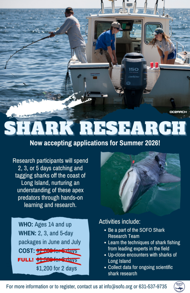 SOFO Sharks Program 2026 no 3 and 5 day